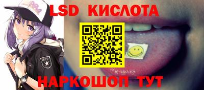 индика Заволжье