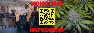 индика Заволжье