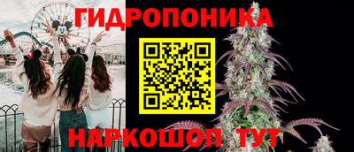 спиды Жуковский