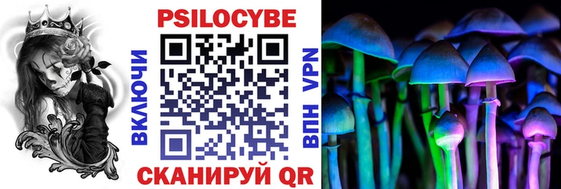 купить наркоту  Лесосибирск  Псилоцибиновые грибы MAGIC MUSHROOMS 