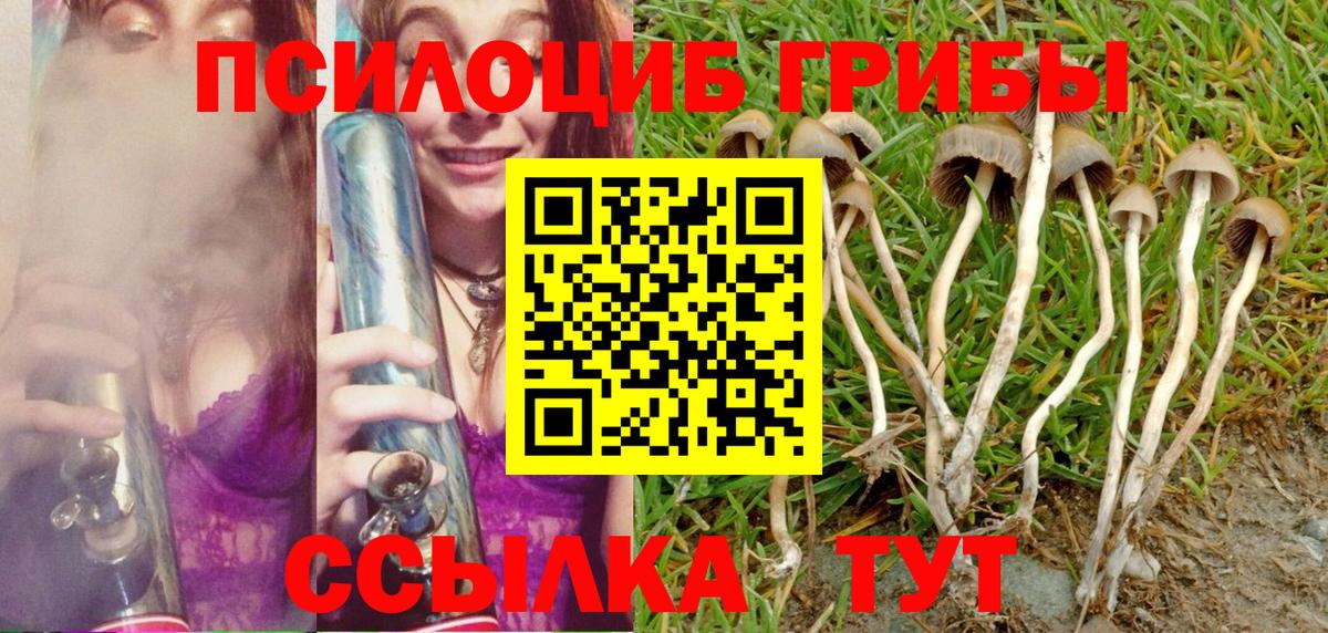 Лесосибирск  Галлюциногенные грибы Magic Shrooms  цены   Вход с VPN 